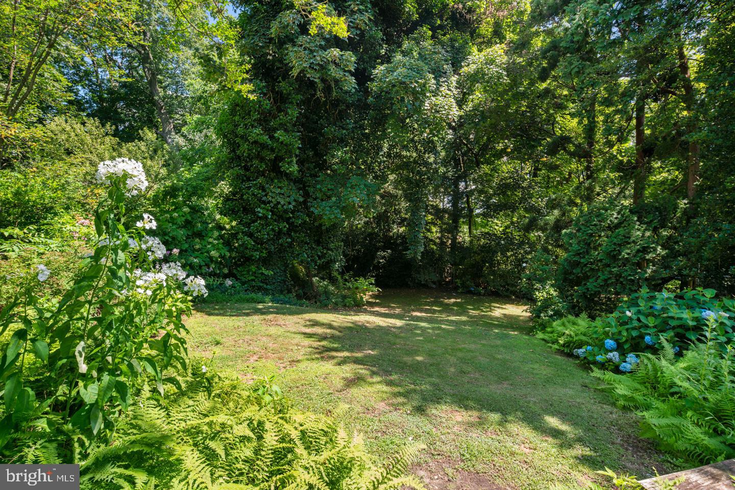 126 Rochelle Avenue Philadelphia, PA 19128 - Photo 33 of 34 Backyard opens to Fairmount Park