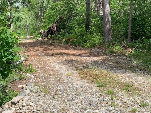 19 Foxtail Road Cherryfield, ME 04622 - Photo 23 of 43 IMG_0624