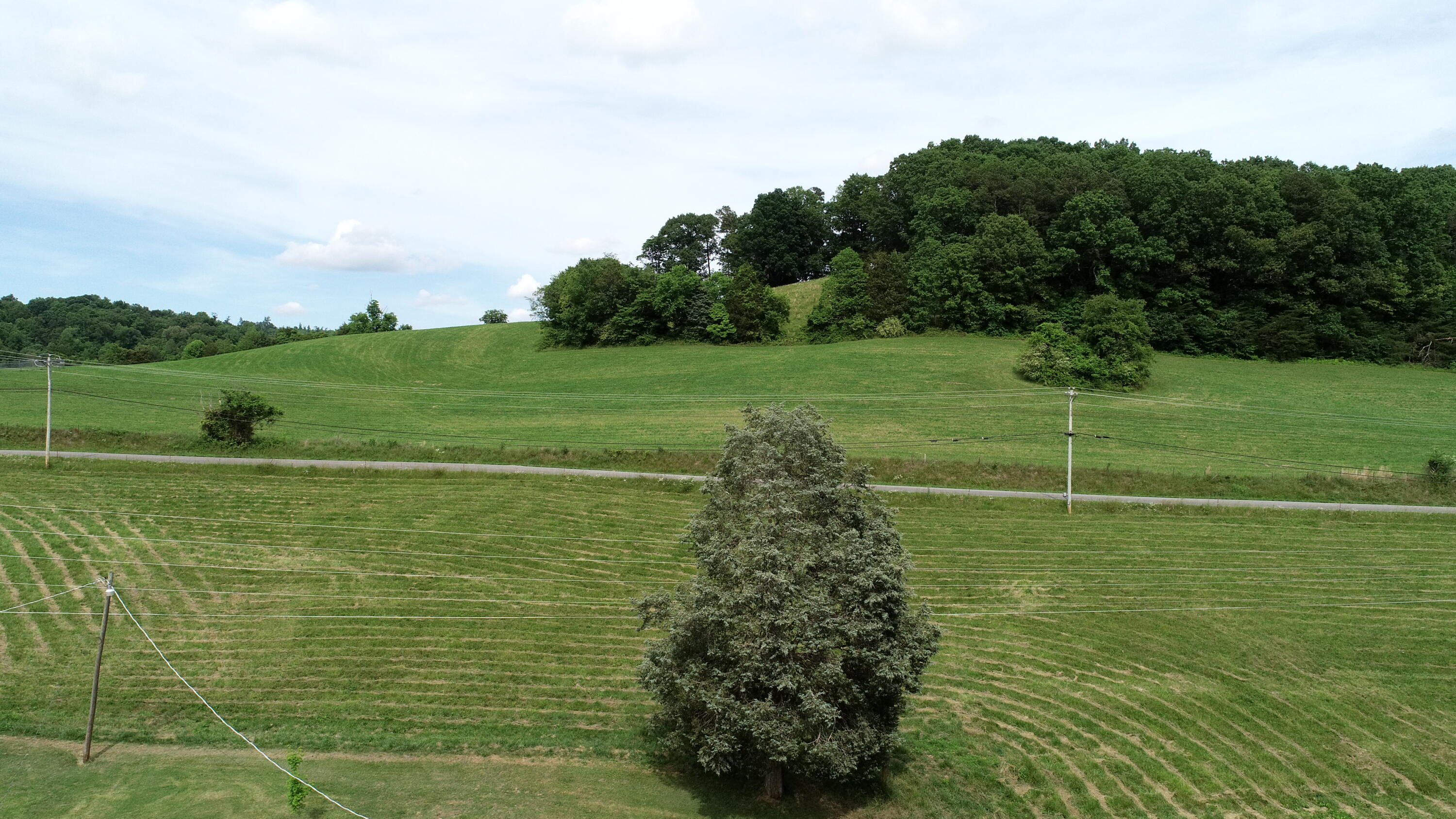 1845 Goin Road New Tazewell, TN 37825 - Photo 15 of 33 DJI_0095