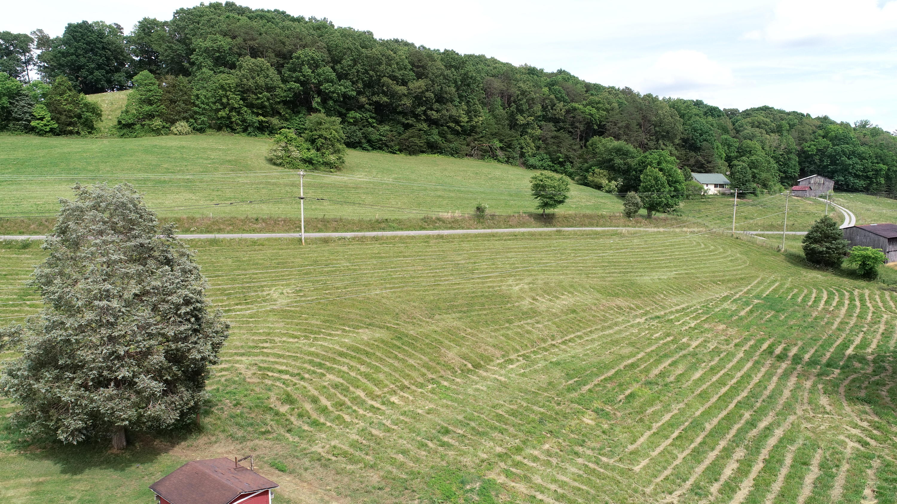 1845 Goin Road New Tazewell, TN 37825 - Photo 16 of 33 DJI_0094