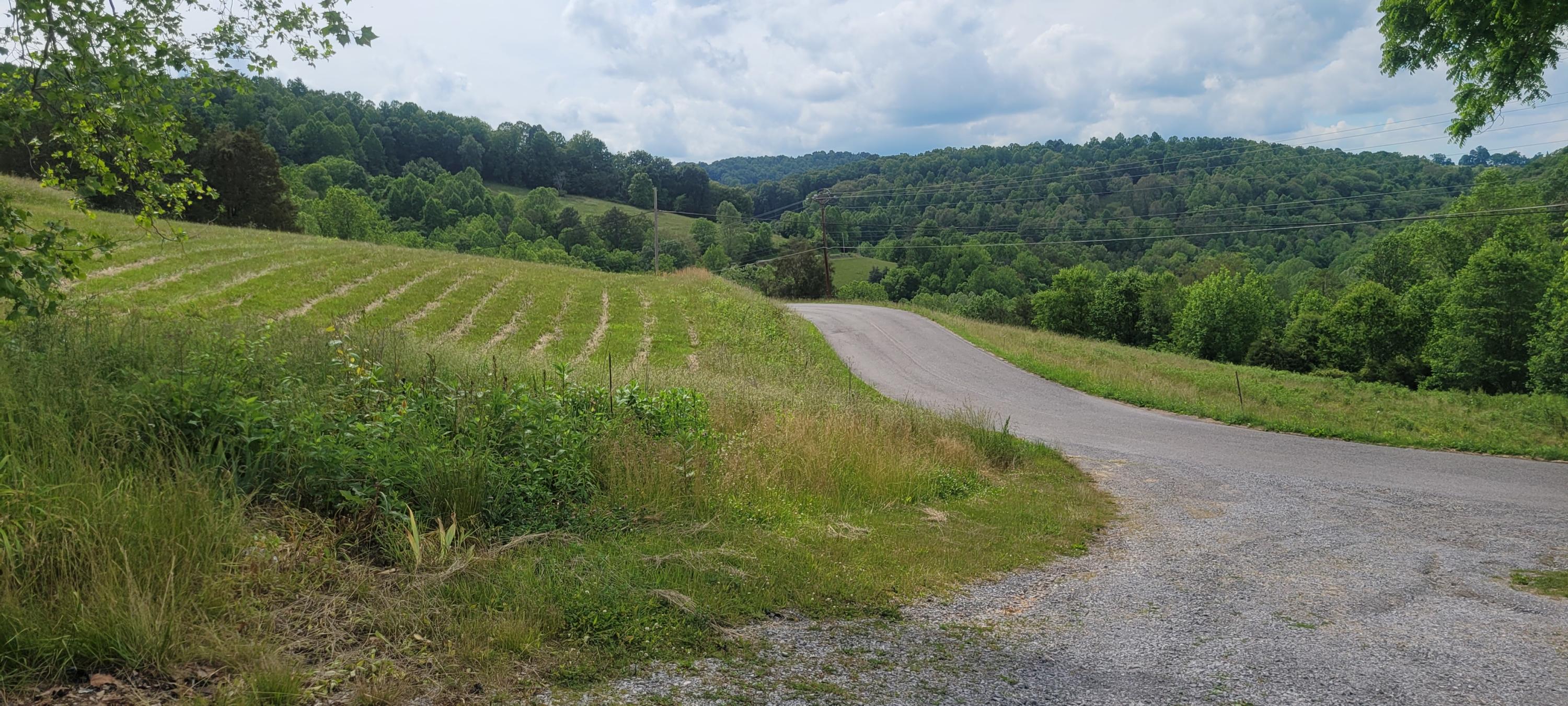1845 Goin Road New Tazewell, TN 37825 - Photo 33 of 33 20210604_160856