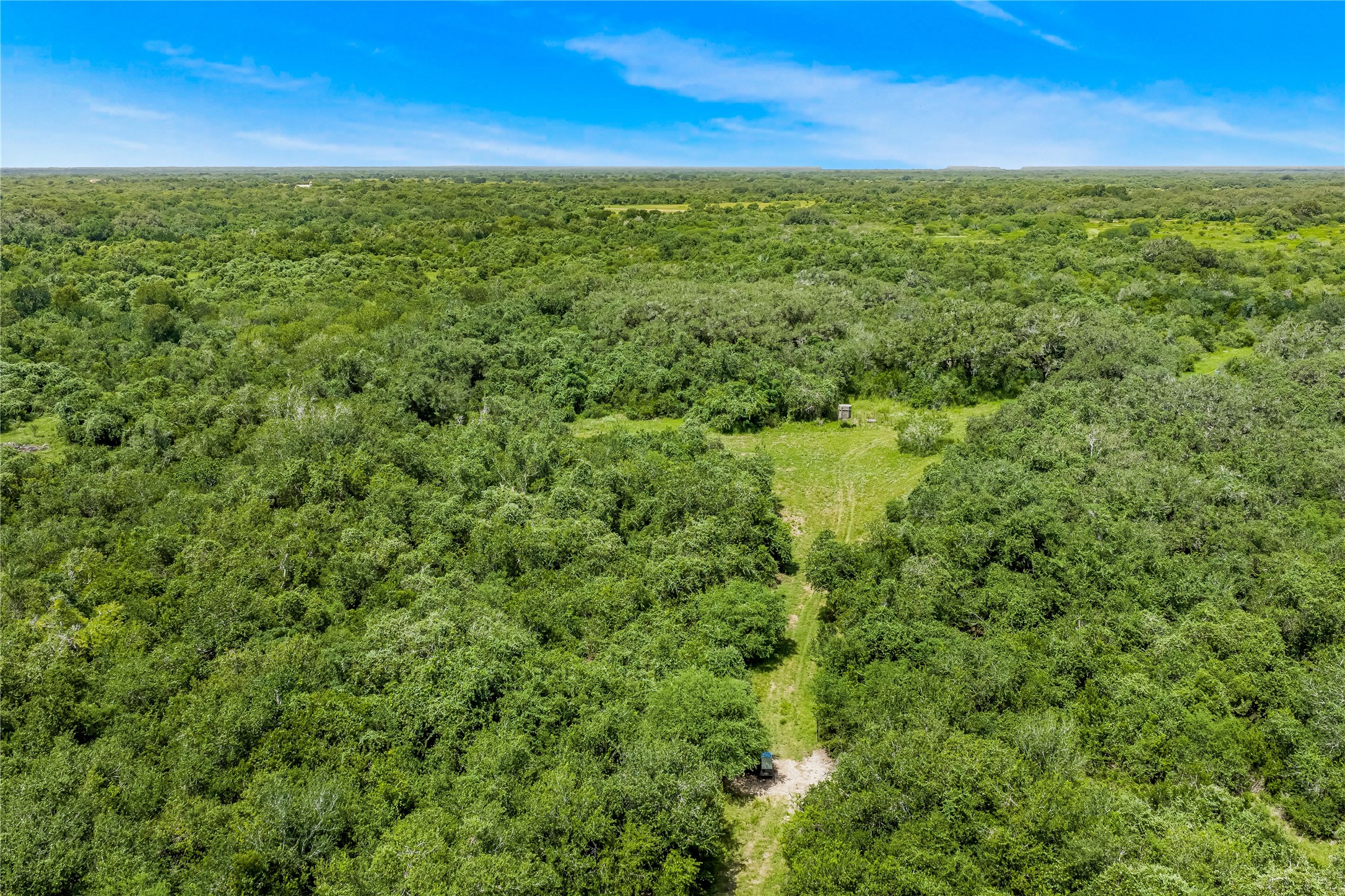 0 McGuill Road Goliad, TX 77963 - Photo 16 of 21 Gallery Image 16