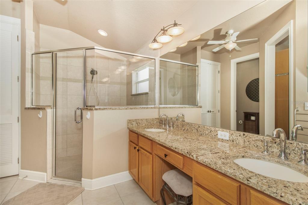 19331 Haskell Place Land O Lakes, FL 34638 - Photo 20 of 34 a bathroom with a granite countertop sink mirror and shower
