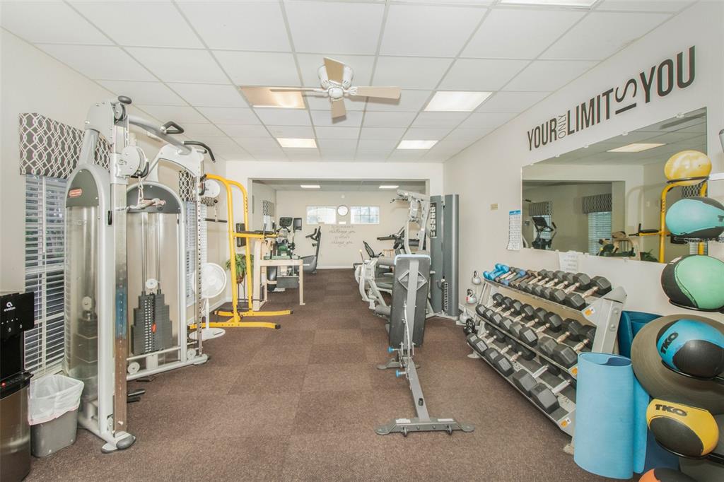 19331 Haskell Place Land O Lakes, FL 34638 - Photo 26 of 34 a view of a room with gym equipment