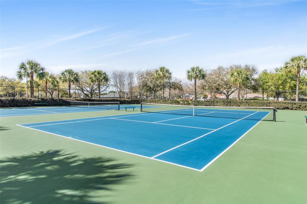 19331 Haskell Place Land O Lakes, FL 34638 - Photo 33 of 34 a view of tennis court