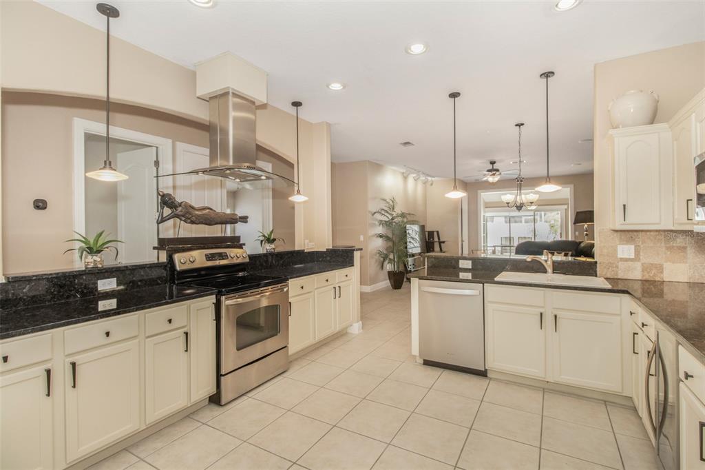 19331 Haskell Place Land O Lakes, FL 34638 - Photo 9 of 34 a kitchen with white cabinets stainless steel appliances and a sink