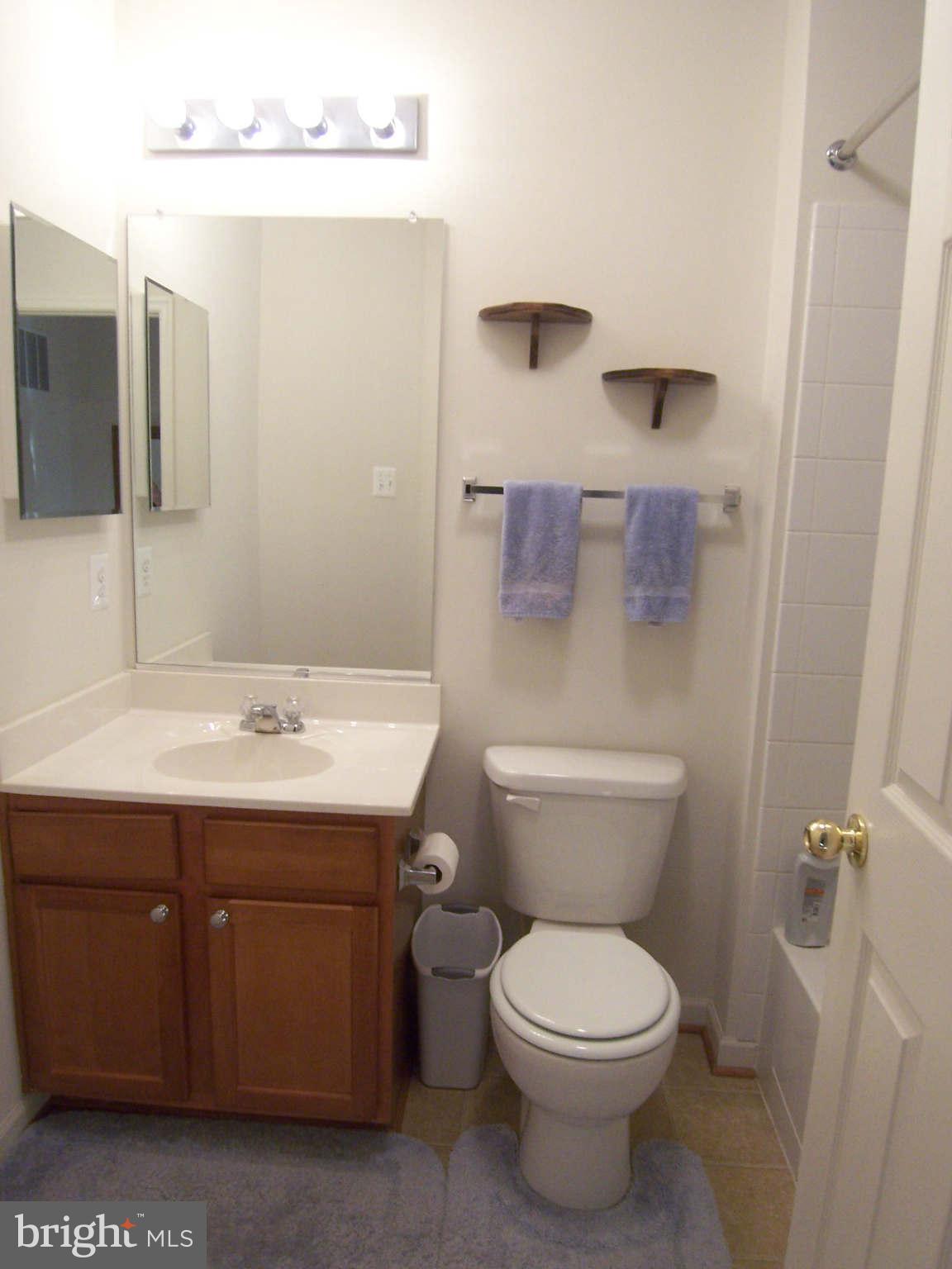 941 Tipton Road Baltimore, MD 21220 - Photo 22 of 22 Bath in Hallway