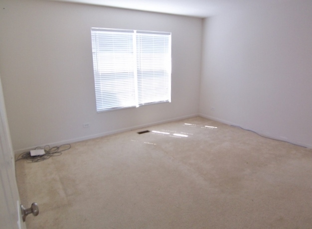 1663 West Turtle Creek Lane Round Lake, IL 60073 - Photo 16 of 25 a view of an empty room with a window