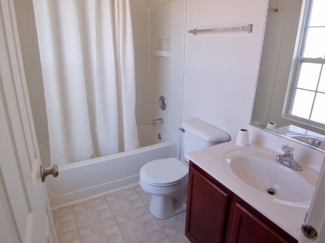 1663 West Turtle Creek Lane Round Lake, IL 60073 - Photo 17 of 25 a bathroom with a sink a toilet and shower curtain