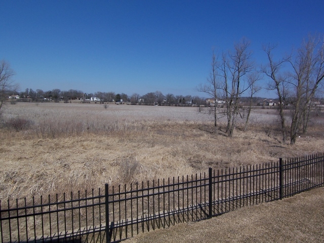 1663 West Turtle Creek Lane Round Lake, IL 60073 - Photo 4 of 25 a view of a lake from a balcony