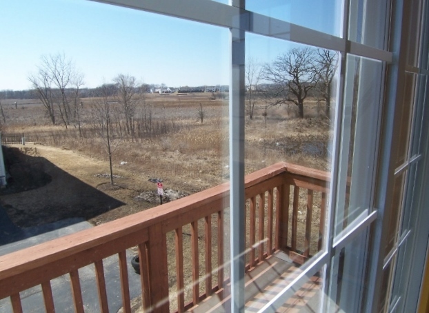 1663 West Turtle Creek Lane Round Lake, IL 60073 - Photo 9 of 25 a view of a balcony with a floor to ceiling window and wooden floor