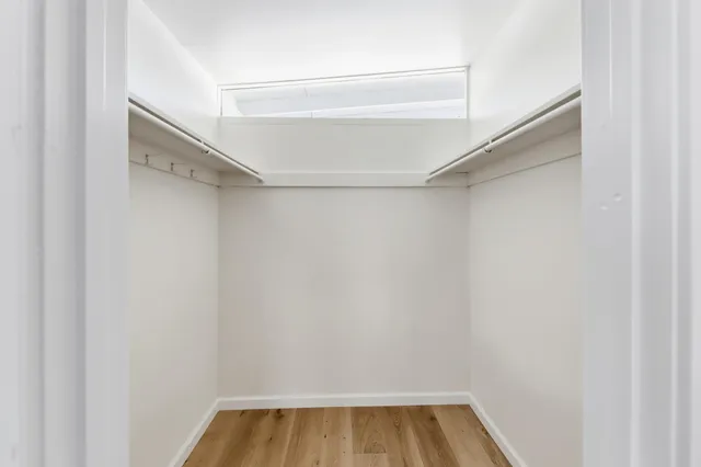 a view of a yard with plants and trees