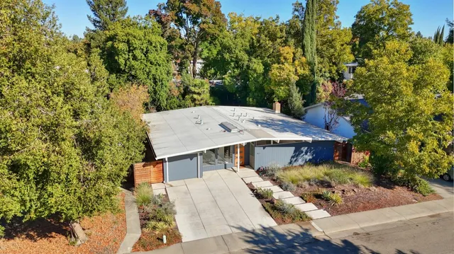 a view of a yard with plants