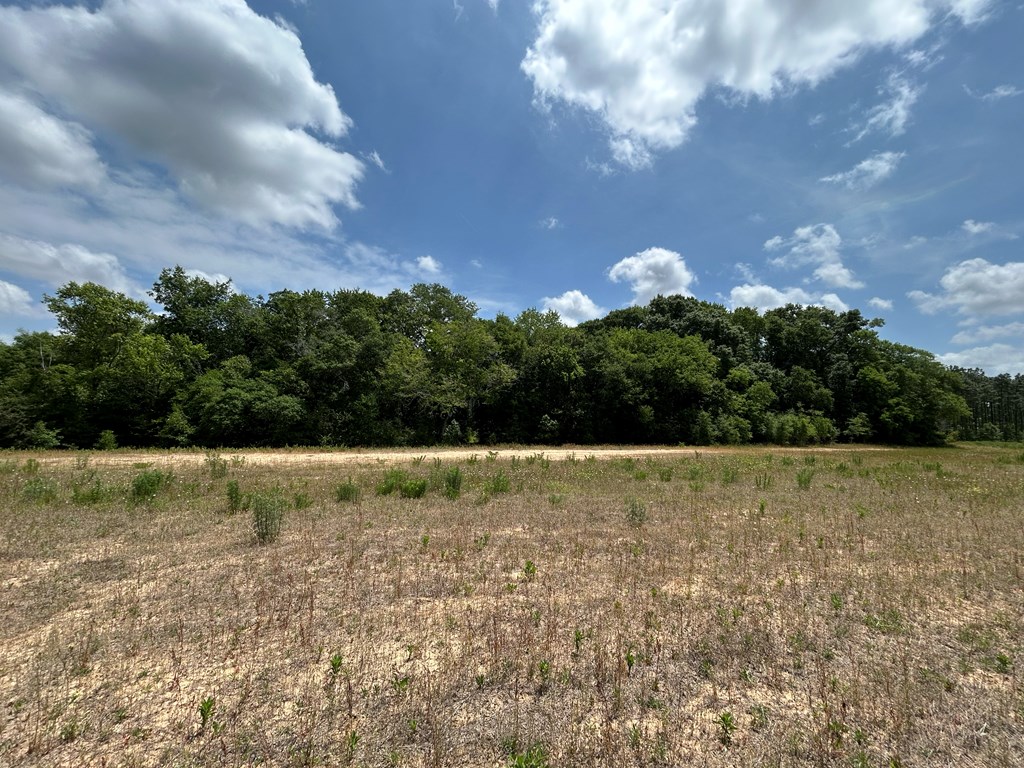 10907-44 -ac) Cty Road Hartford, AL 36344 - Photo 33 of 52