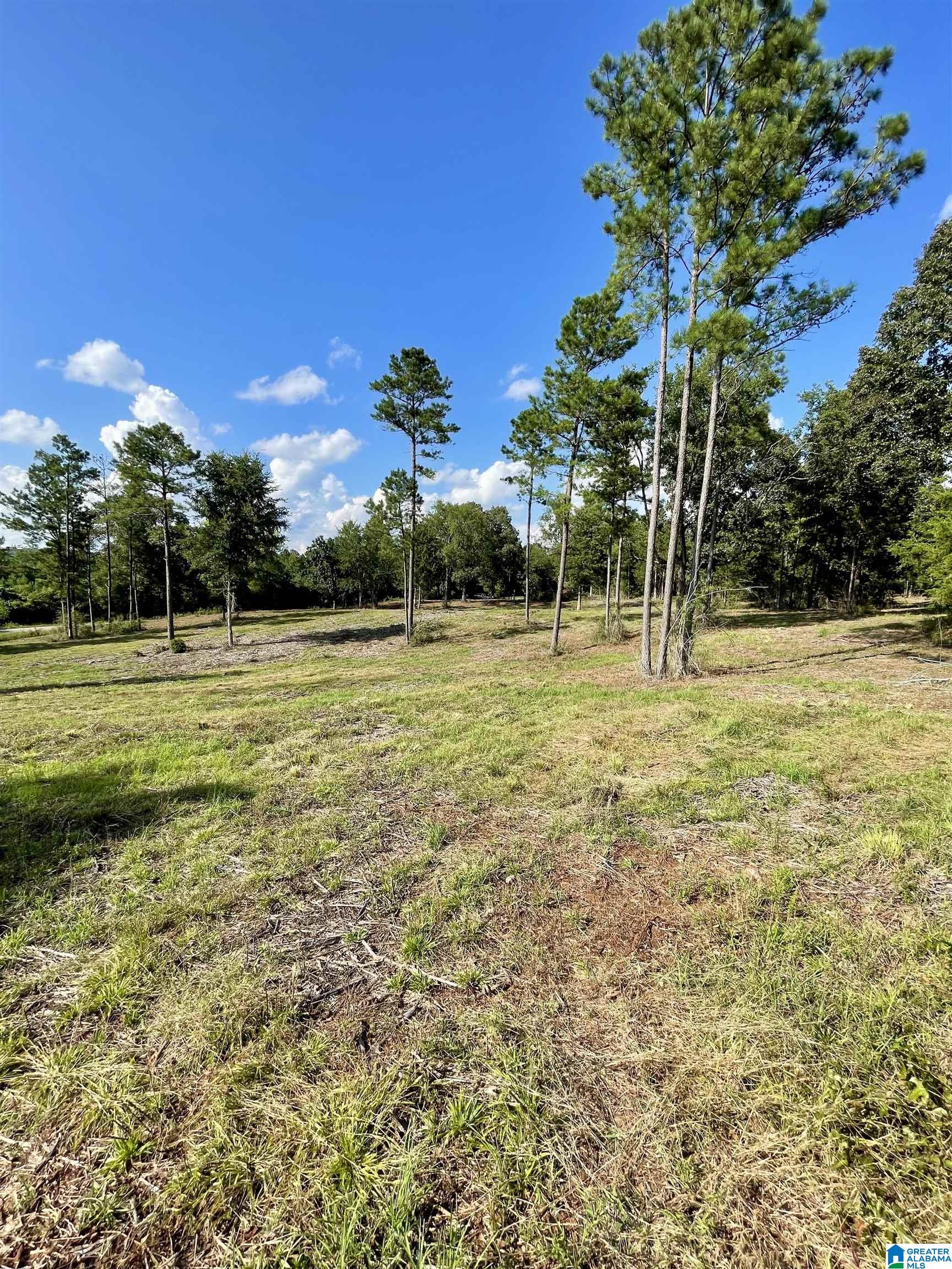 0 Ironaton Road, Unit 1 Talladega, AL 35160 - Photo 3 of 10