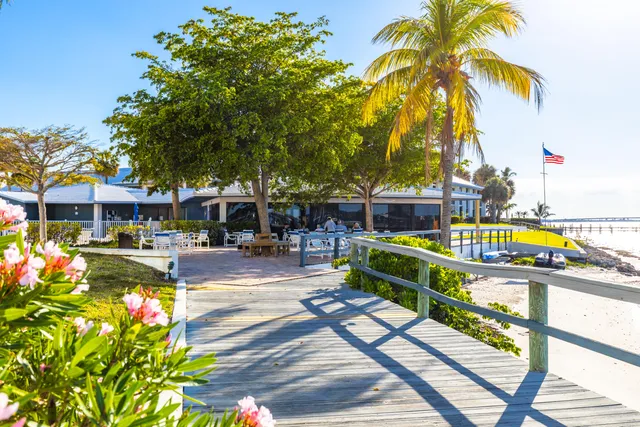 a picture of city view with lots of trees