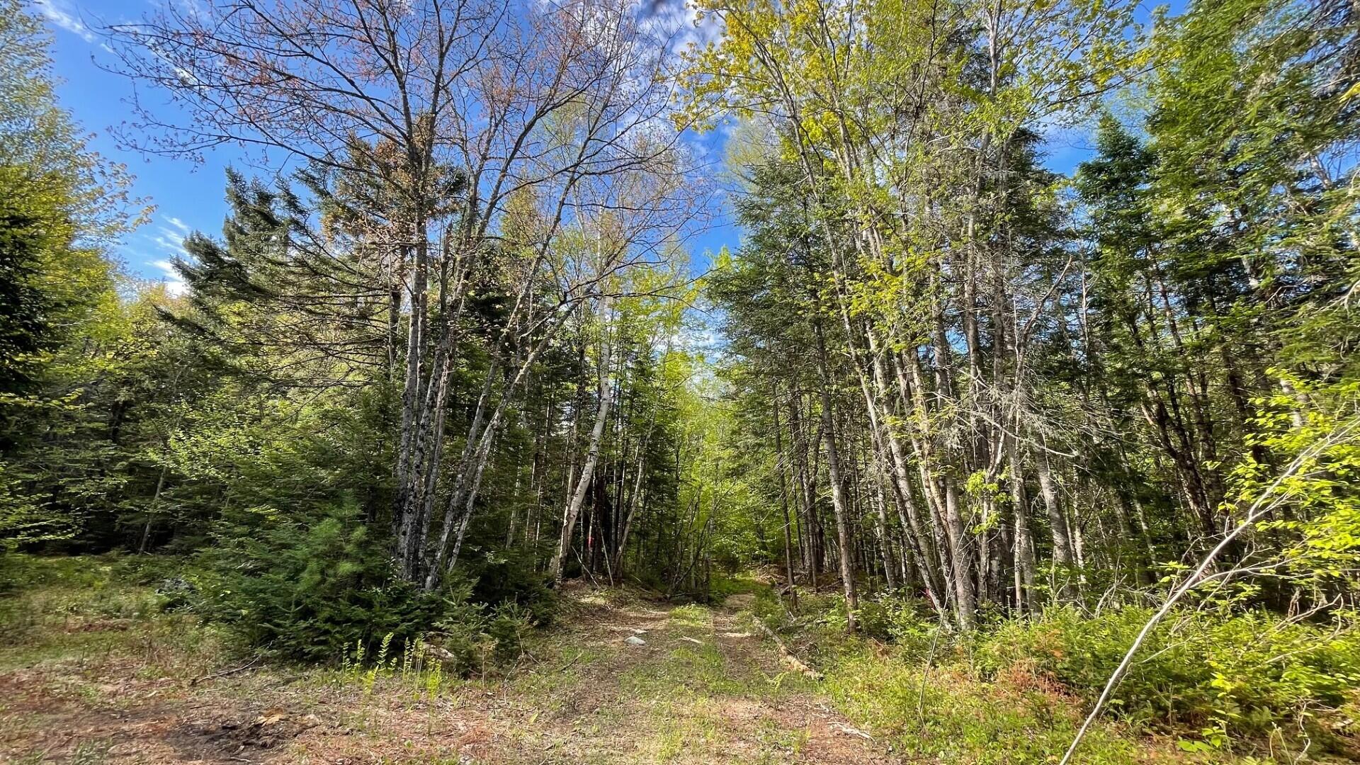 339 Long Pond Road Jackman, ME 04945 - Photo 2 of 30