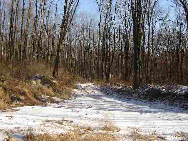 8654-30 Reynolds Road Horton, MI 49246 - Photo 3 of 6 Photo 3