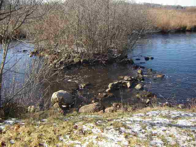 8654-30 Reynolds Road Horton, MI 49246 - Photo 5 of 6 Photo 5