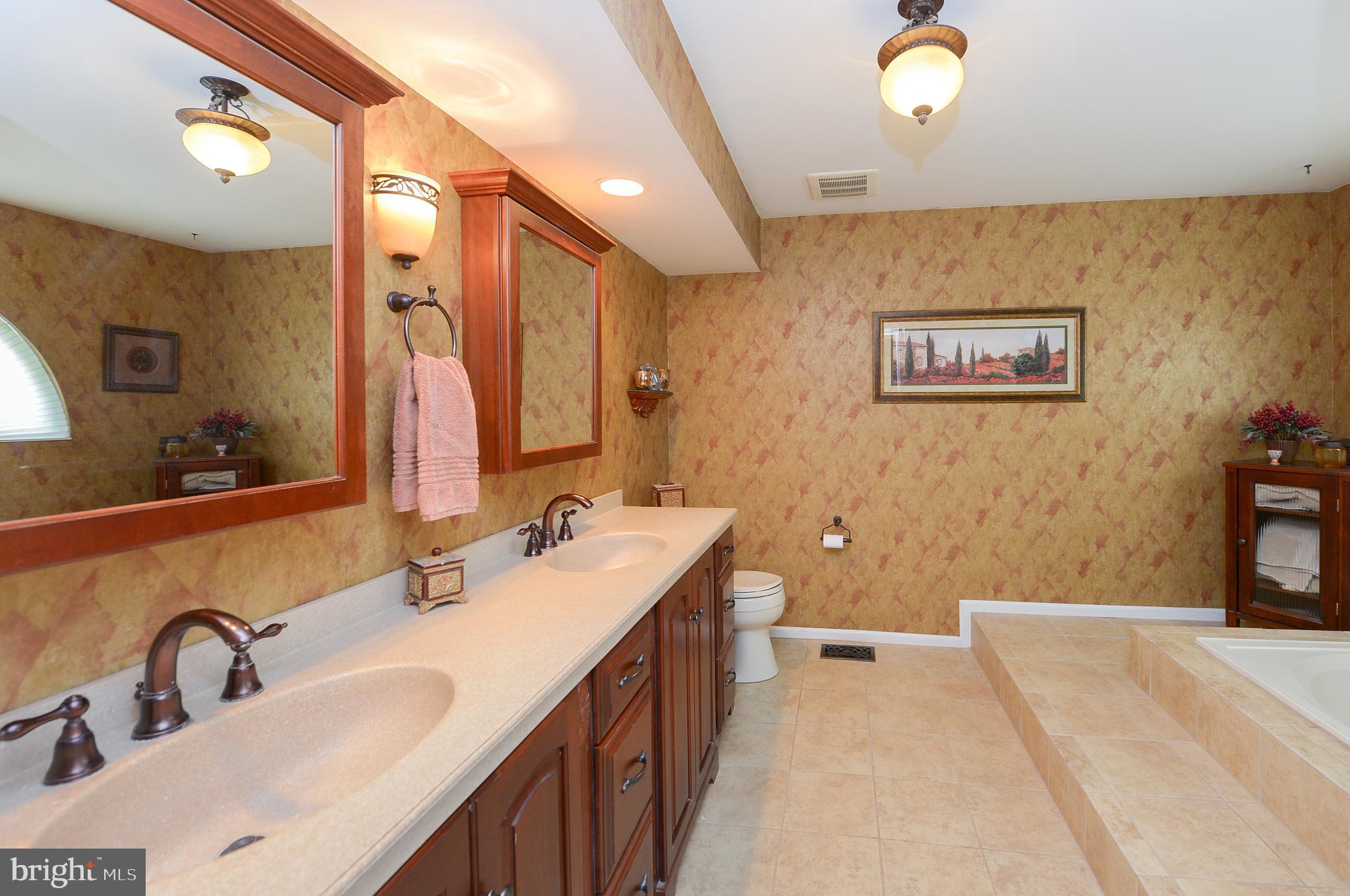 22 Hawk Lane Marlton, NJ 08053 - Photo 28 of 39 Double sinks in main Bath