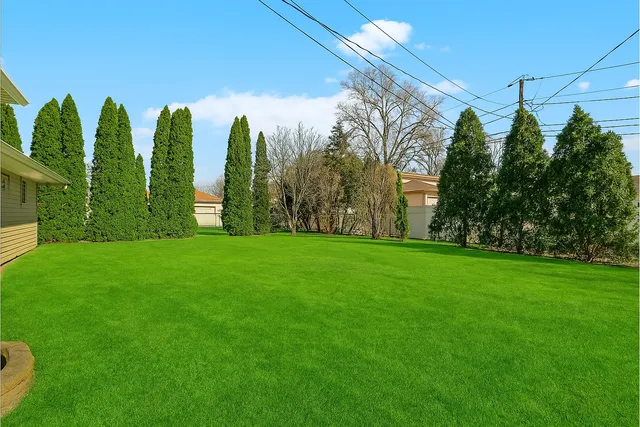 a view of a yard with palm trees