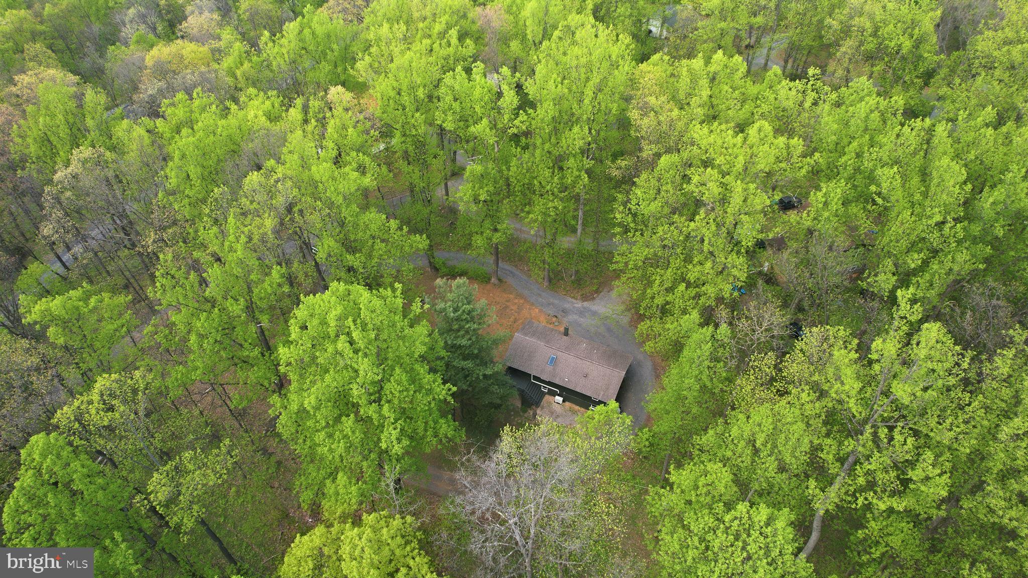 52 Hickory Nut Road Linden, VA 22642 - Photo 50 of 52