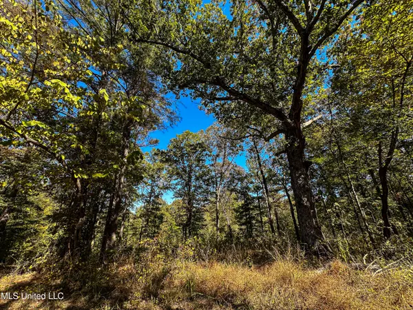 $650,000 | 106 Crockrell Road, Lexington, MS 39095