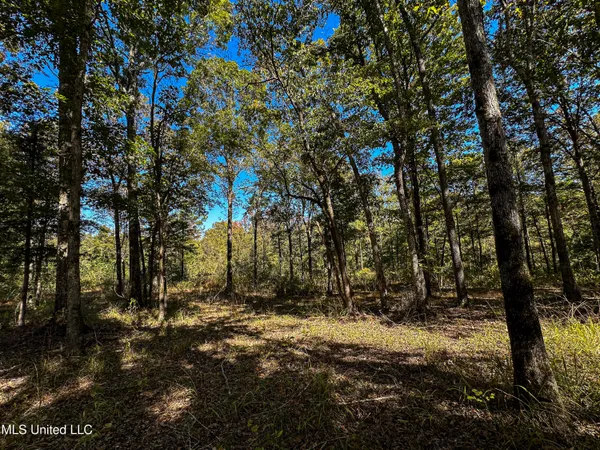 $650,000 | 106 Crockrell Road, Lexington, MS 39095
