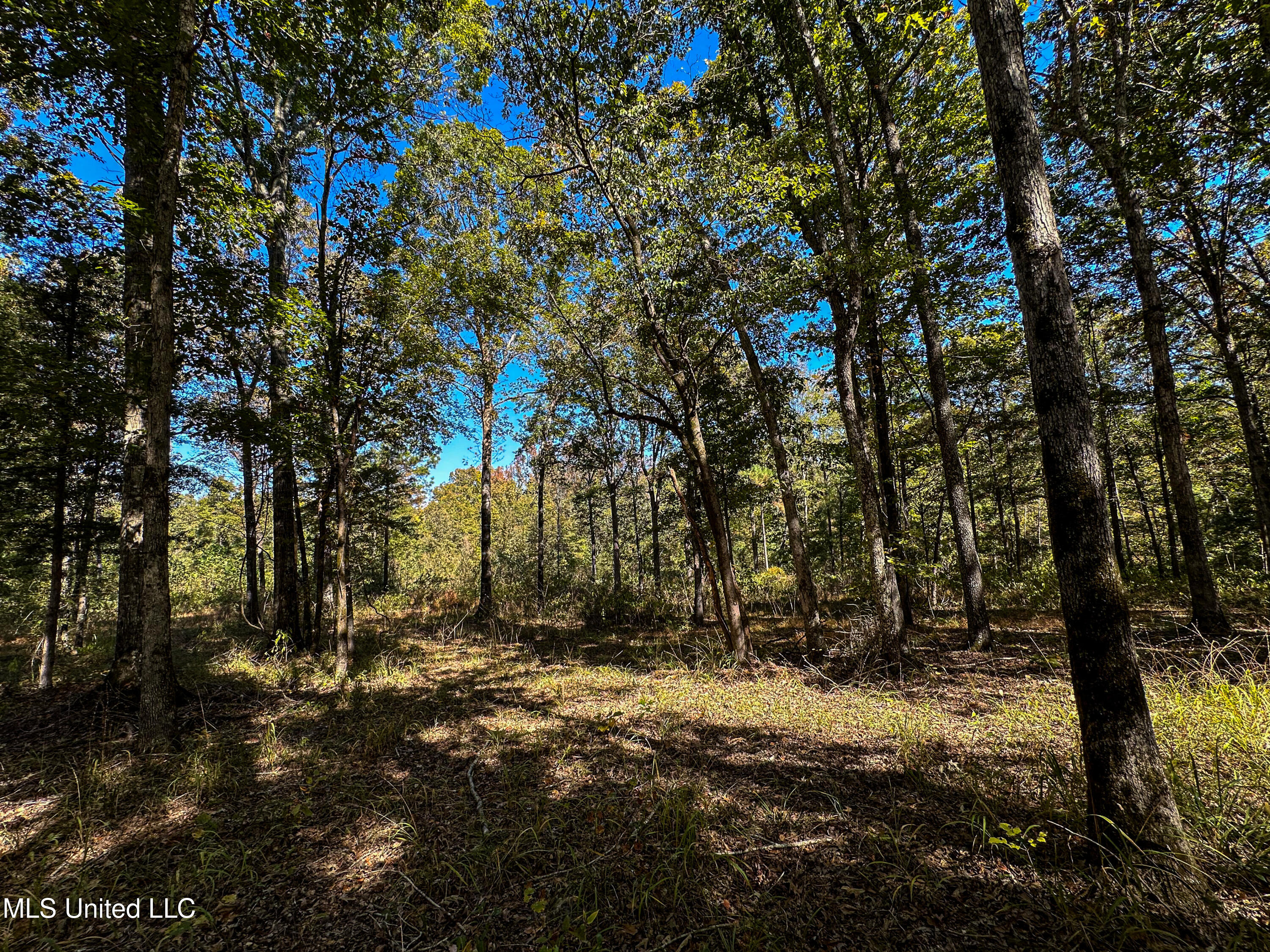 106 Crockrell Road Lexington, MS 39095 - Photo 102 of 185 IMG_0374