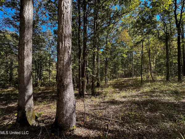 $650,000 | 106 Crockrell Road, Lexington, MS 39095