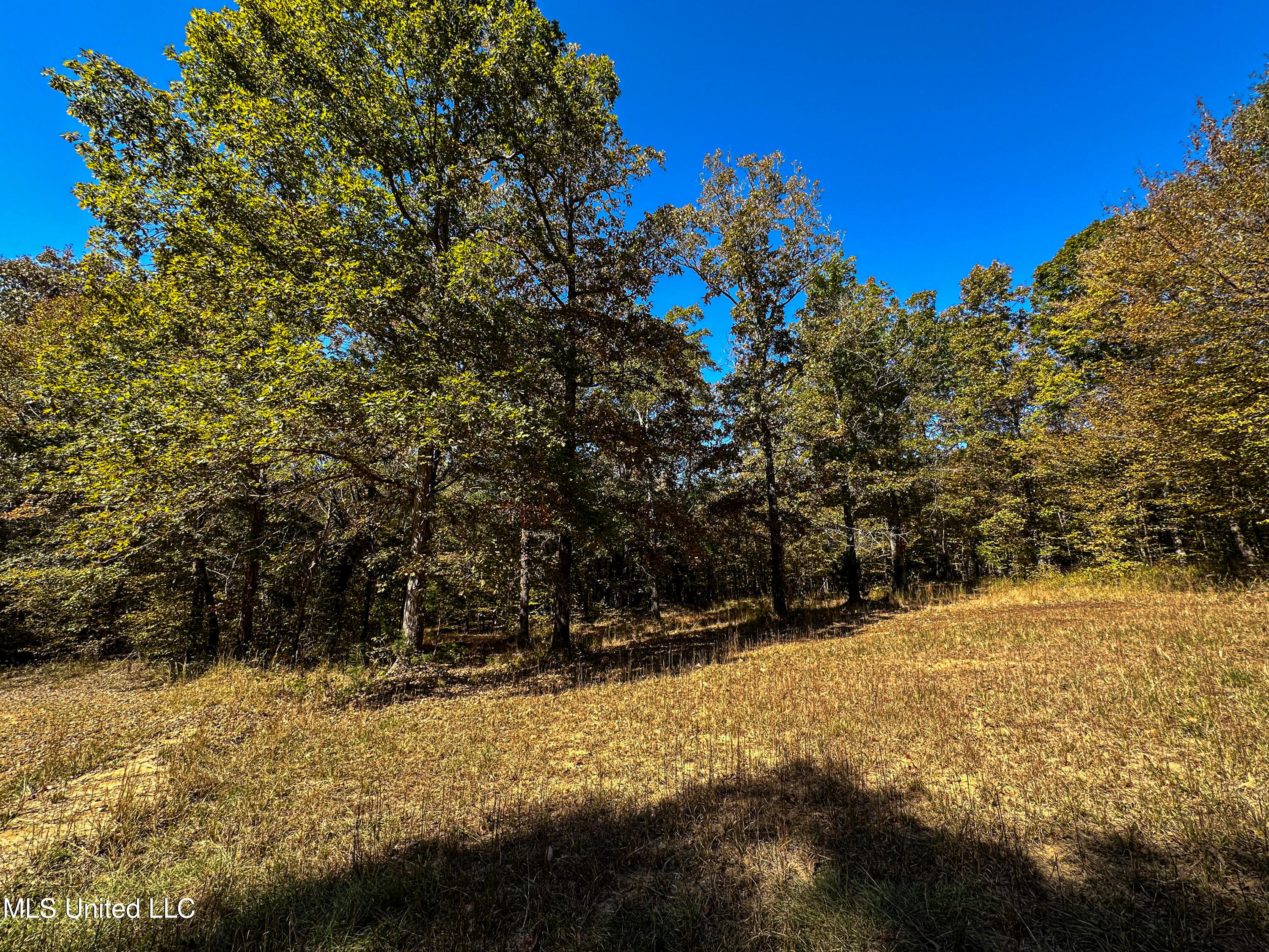 106 Crockrell Road Lexington, MS 39095 - Photo 105 of 185 IMG_0379