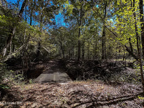 $650,000 | 106 Crockrell Road, Lexington, MS 39095
