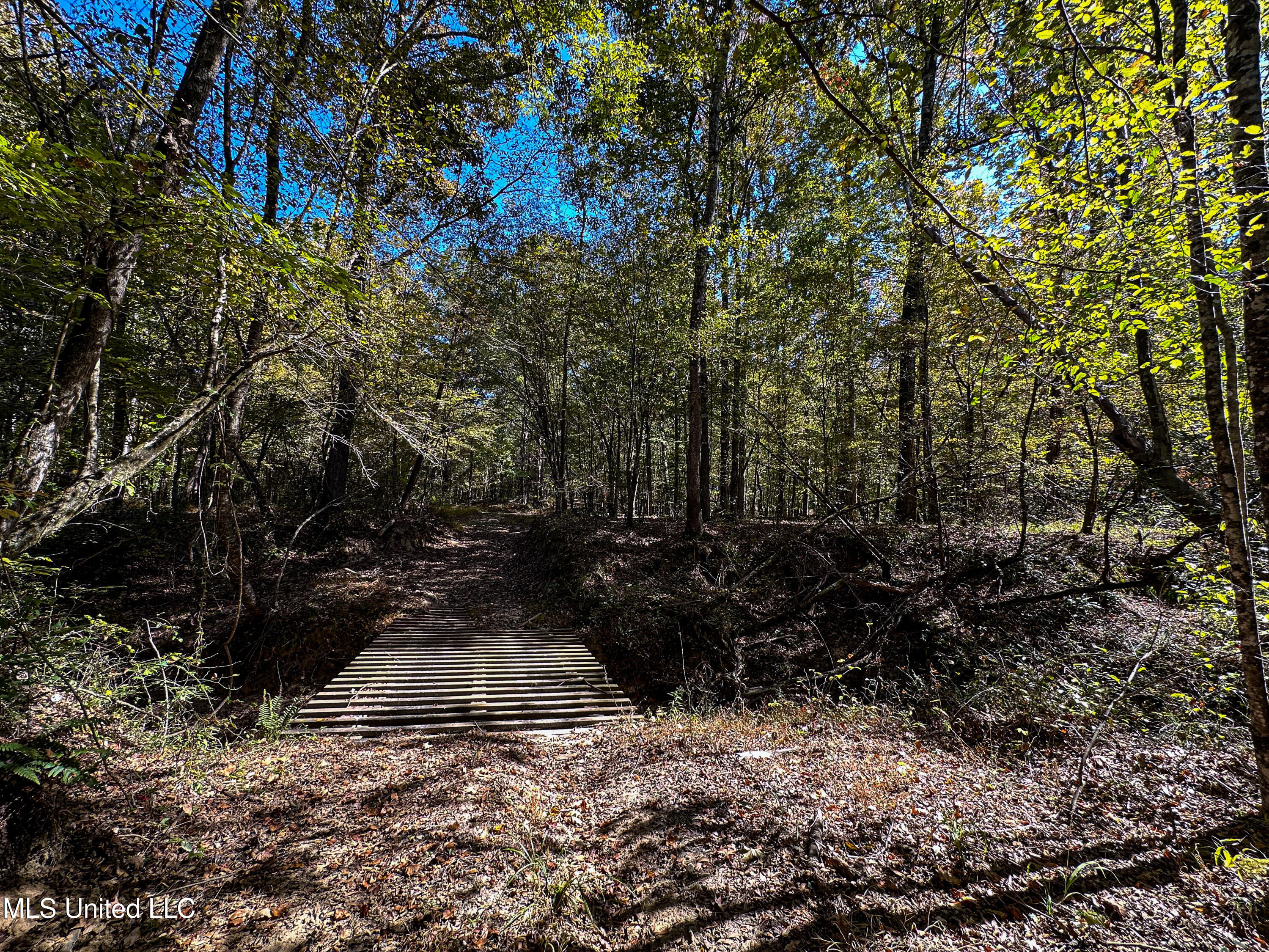 106 Crockrell Road Lexington, MS 39095 - Photo 107 of 185 IMG_0382