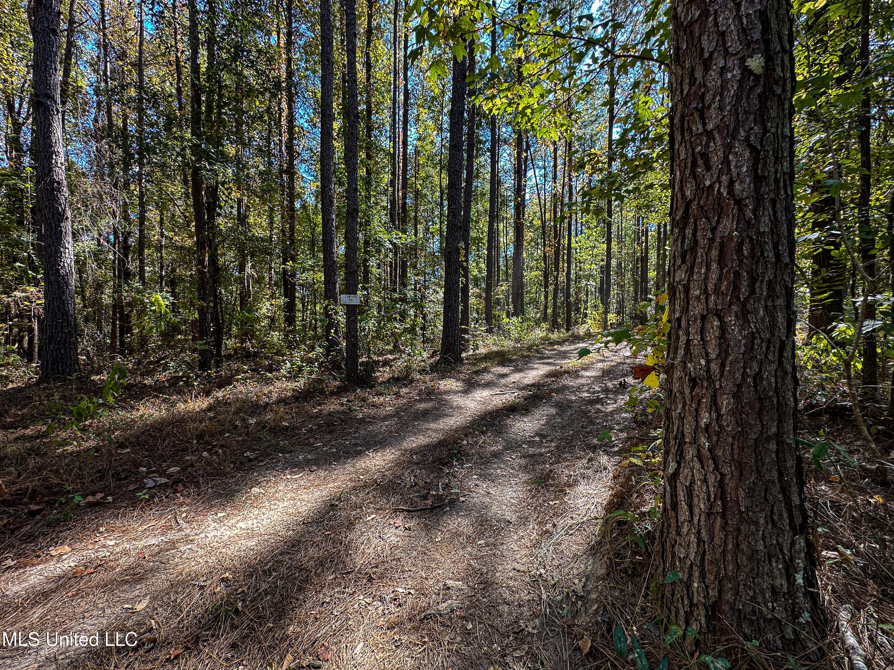 106 Crockrell Road Lexington, MS 39095 - Photo 108 of 185 IMG_0384