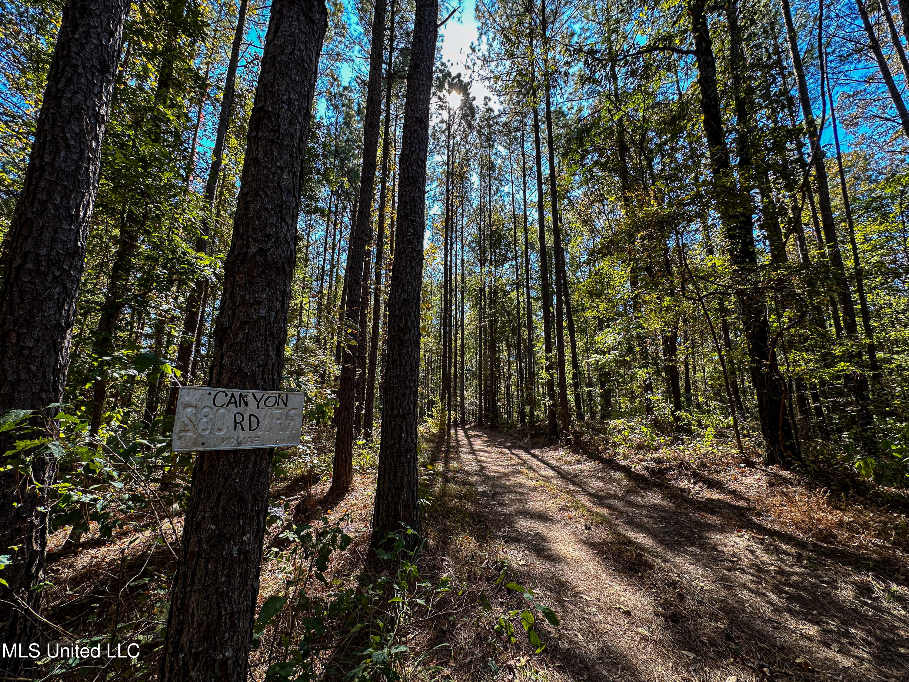 106 Crockrell Road Lexington, MS 39095 - Photo 109 of 185 IMG_0385