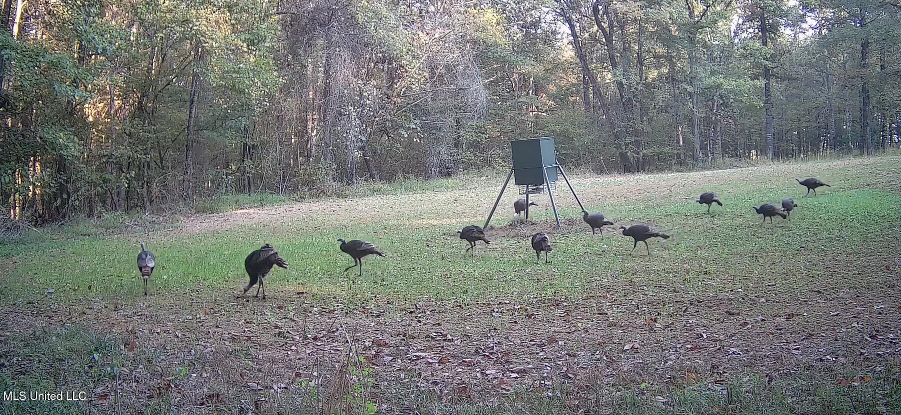 106 Crockrell Road Lexington, MS 39095 - Photo 11 of 185 Screenshot 2024-10-29 102829