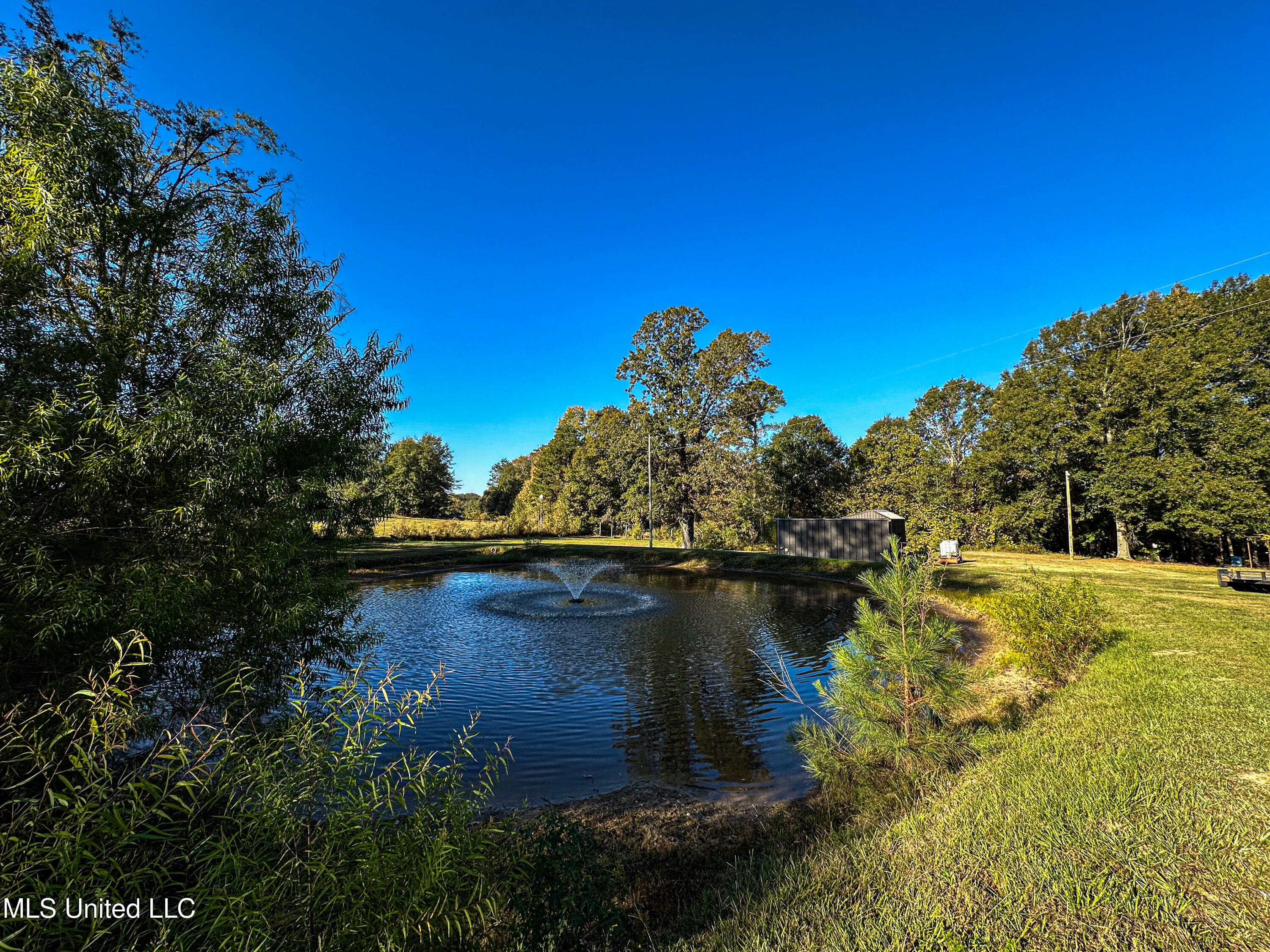 106 Crockrell Road Lexington, MS 39095 - Photo 115 of 185 IMG_0303