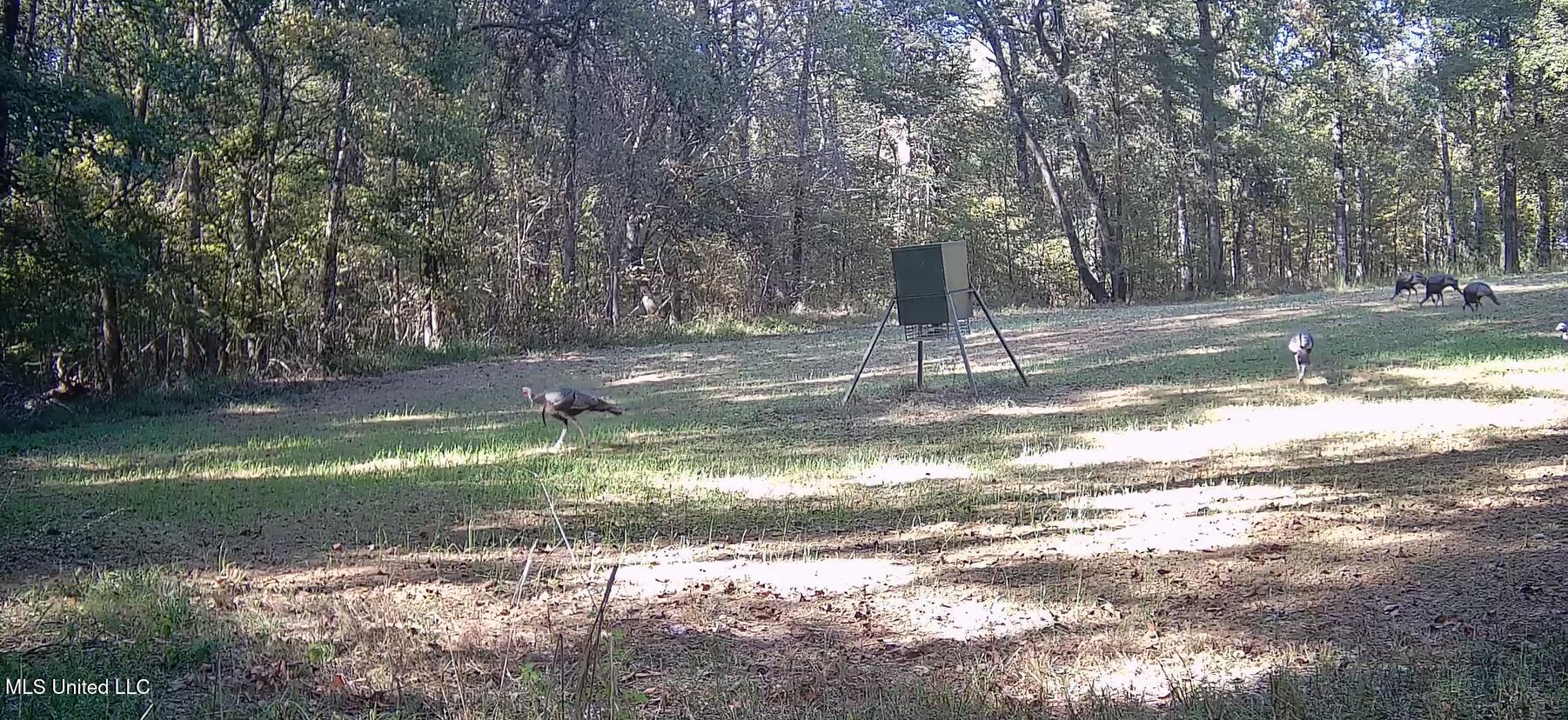 106 Crockrell Road Lexington, MS 39095 - Photo 120 of 185 Screenshot 2024-10-29 102129