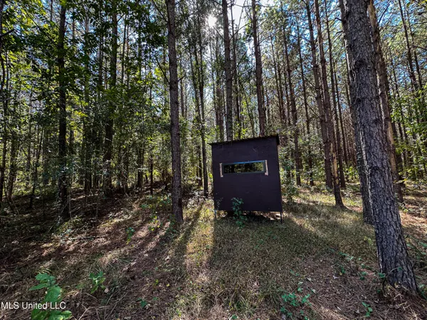 $650,000 | 106 Crockrell Road, Lexington, MS 39095