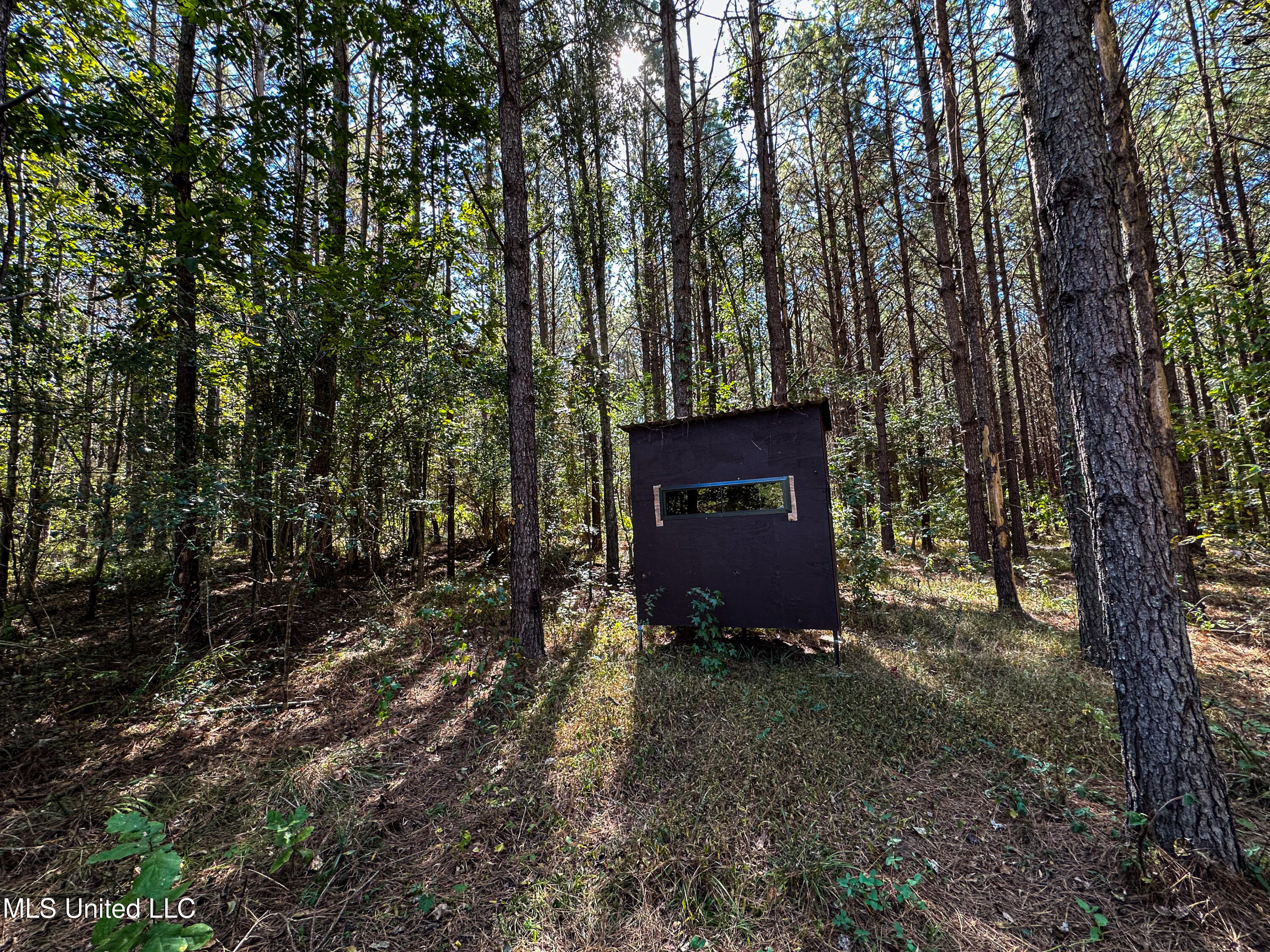 106 Crockrell Road Lexington, MS 39095 - Photo 12 of 185 IMG_0354