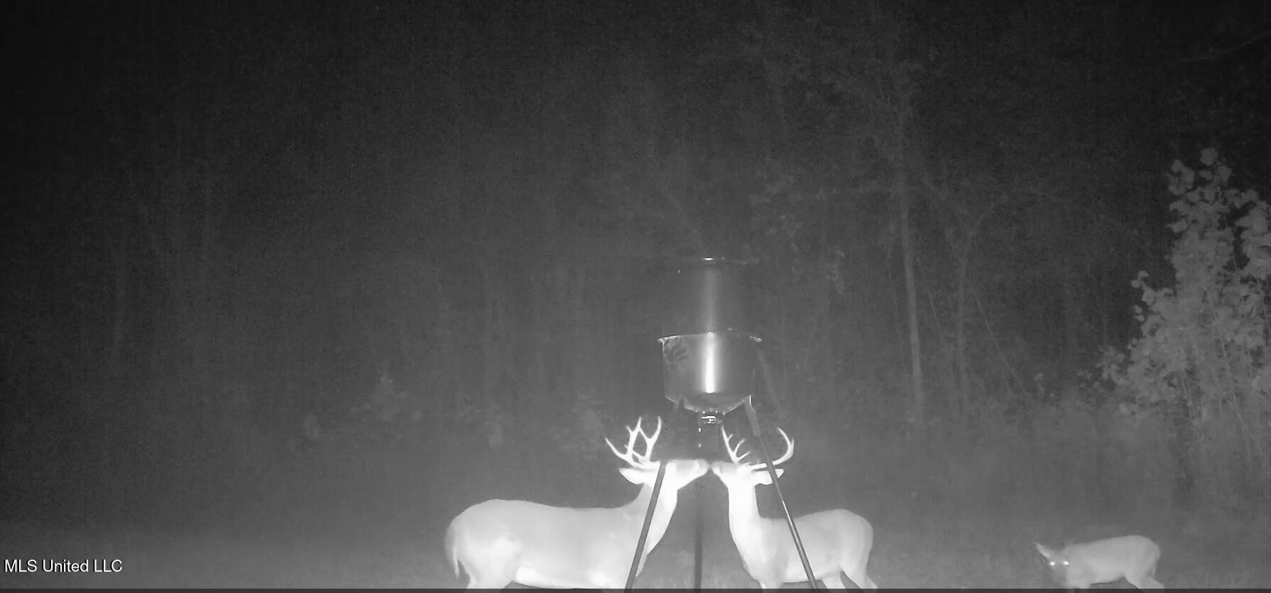 106 Crockrell Road Lexington, MS 39095 - Photo 121 of 185 Screenshot 2024-10-29 103936