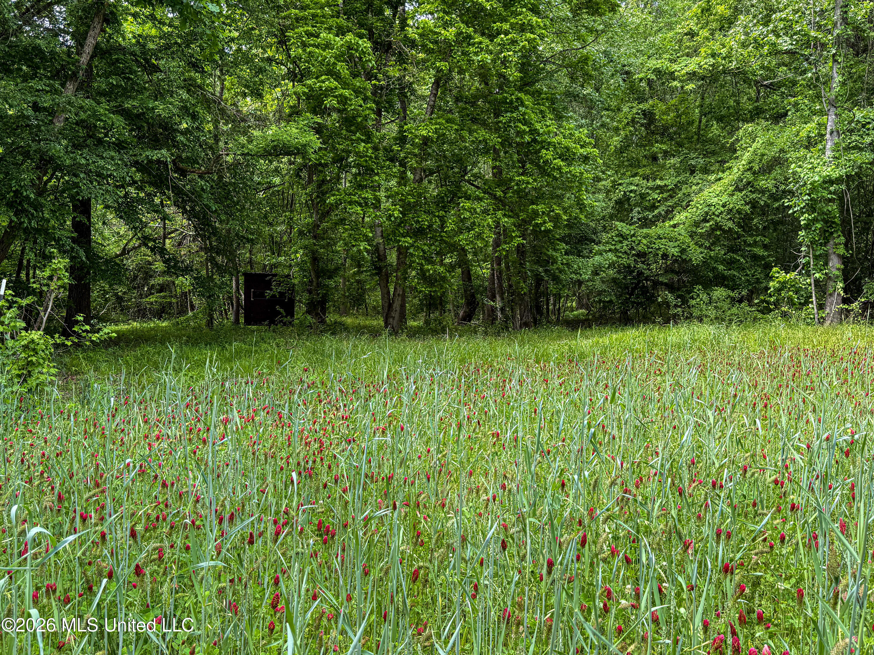 106 Crockrell Road Lexington, MS 39095 - Photo 14 of 185 IMG_0736