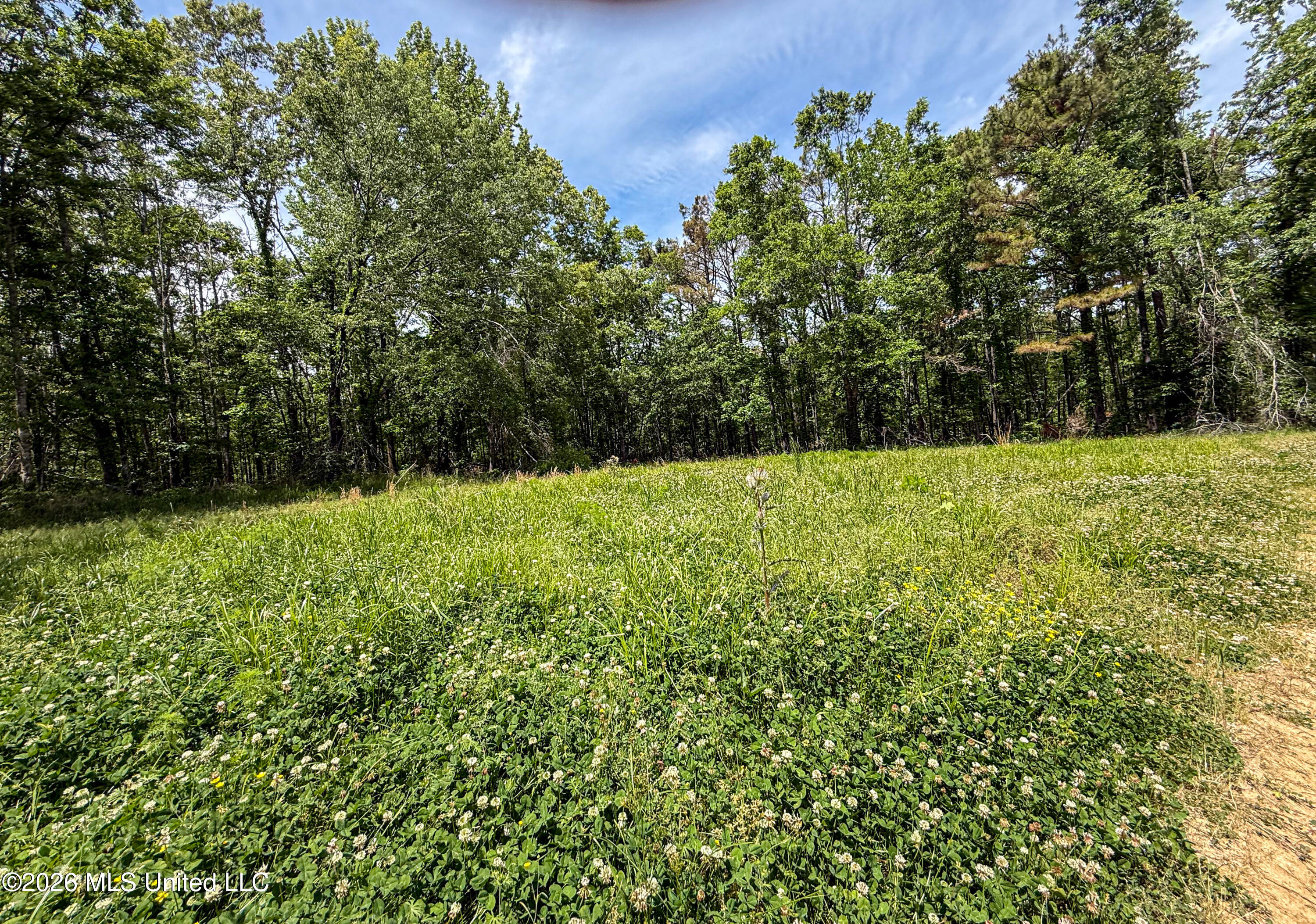 106 Crockrell Road Lexington, MS 39095 - Photo 156 of 185 IMG_0719