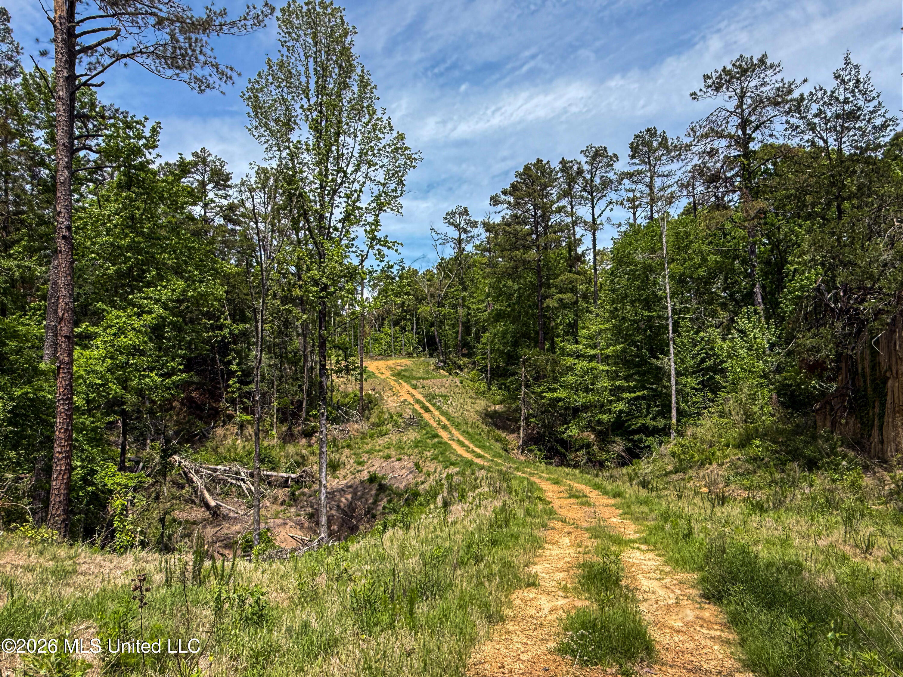 106 Crockrell Road Lexington, MS 39095 - Photo 157 of 185 IMG_0721