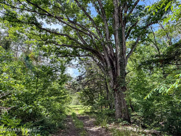$650,000 | 106 Crockrell Road, Lexington, MS 39095