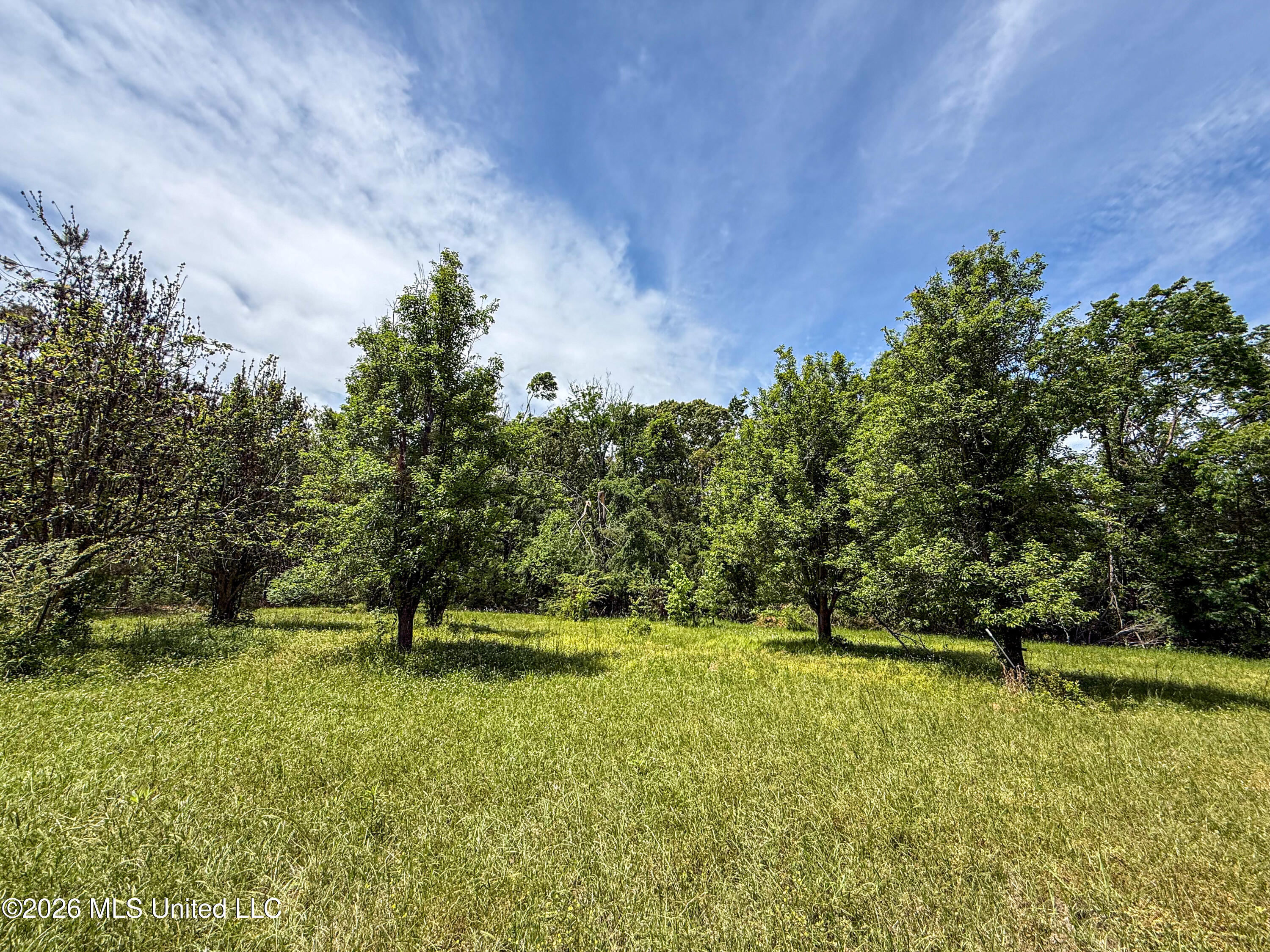 106 Crockrell Road Lexington, MS 39095 - Photo 159 of 185 IMG_0723
