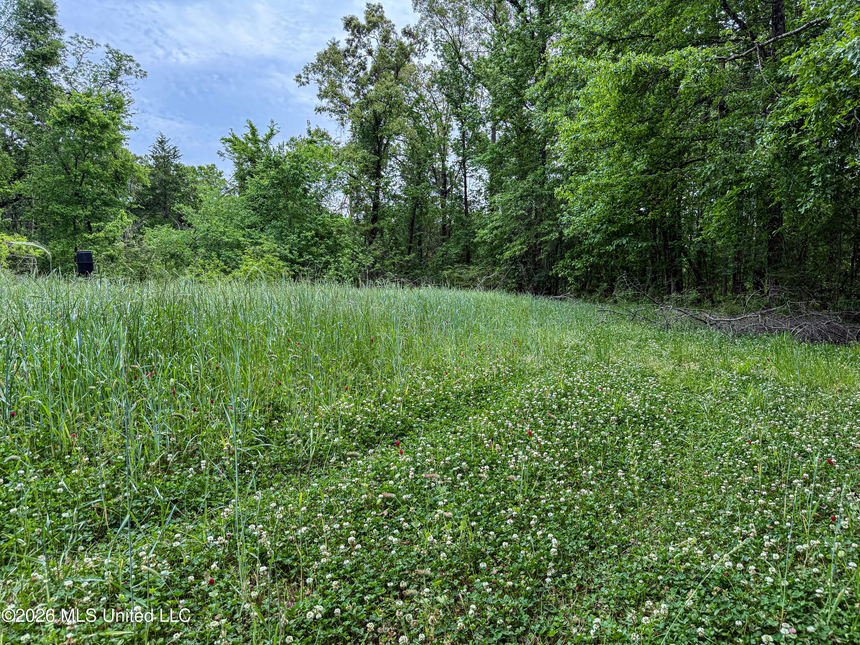 106 Crockrell Road Lexington, MS 39095 - Photo 16 of 185 IMG_0748