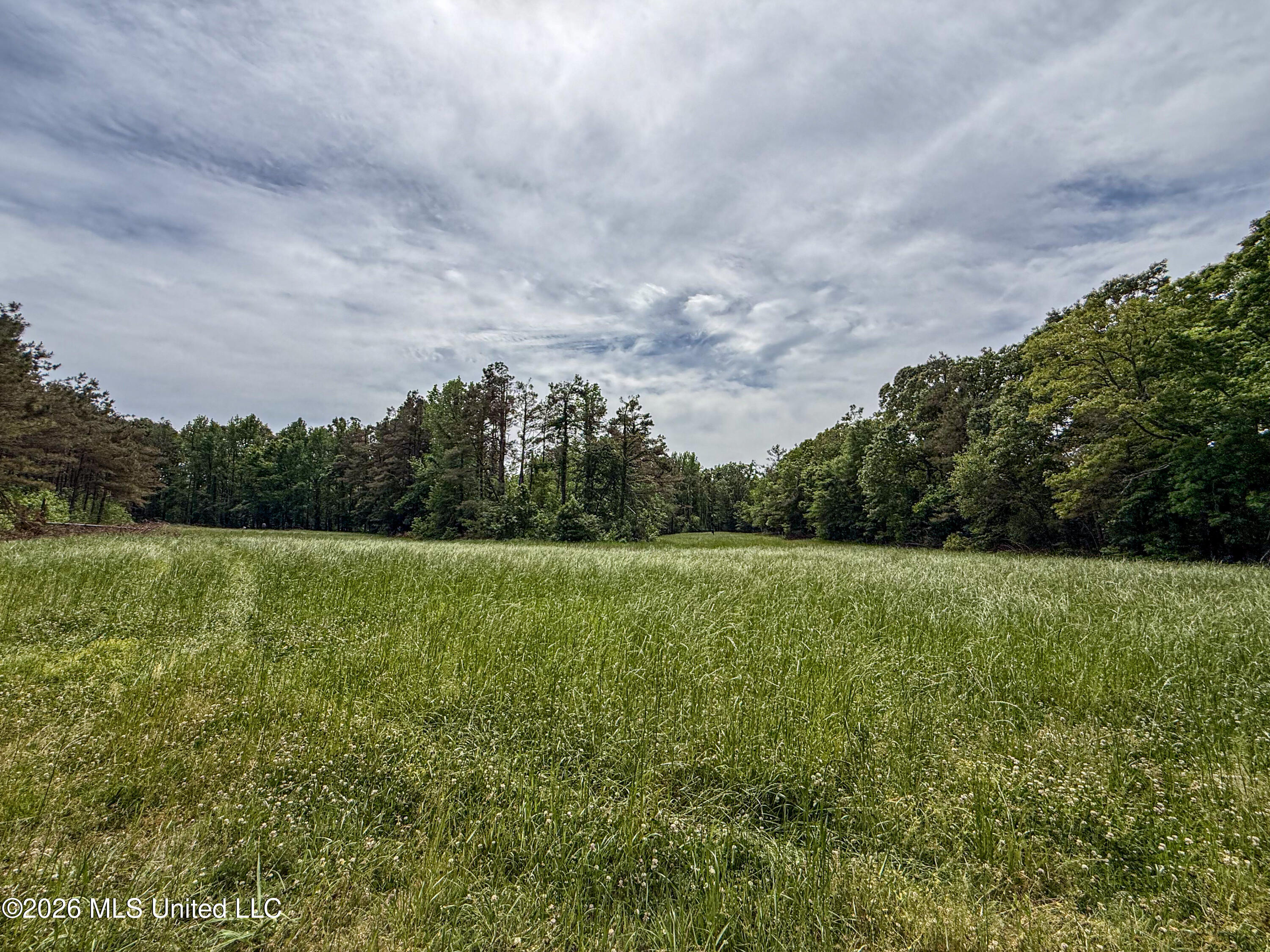 106 Crockrell Road Lexington, MS 39095 - Photo 161 of 185 IMG_0727