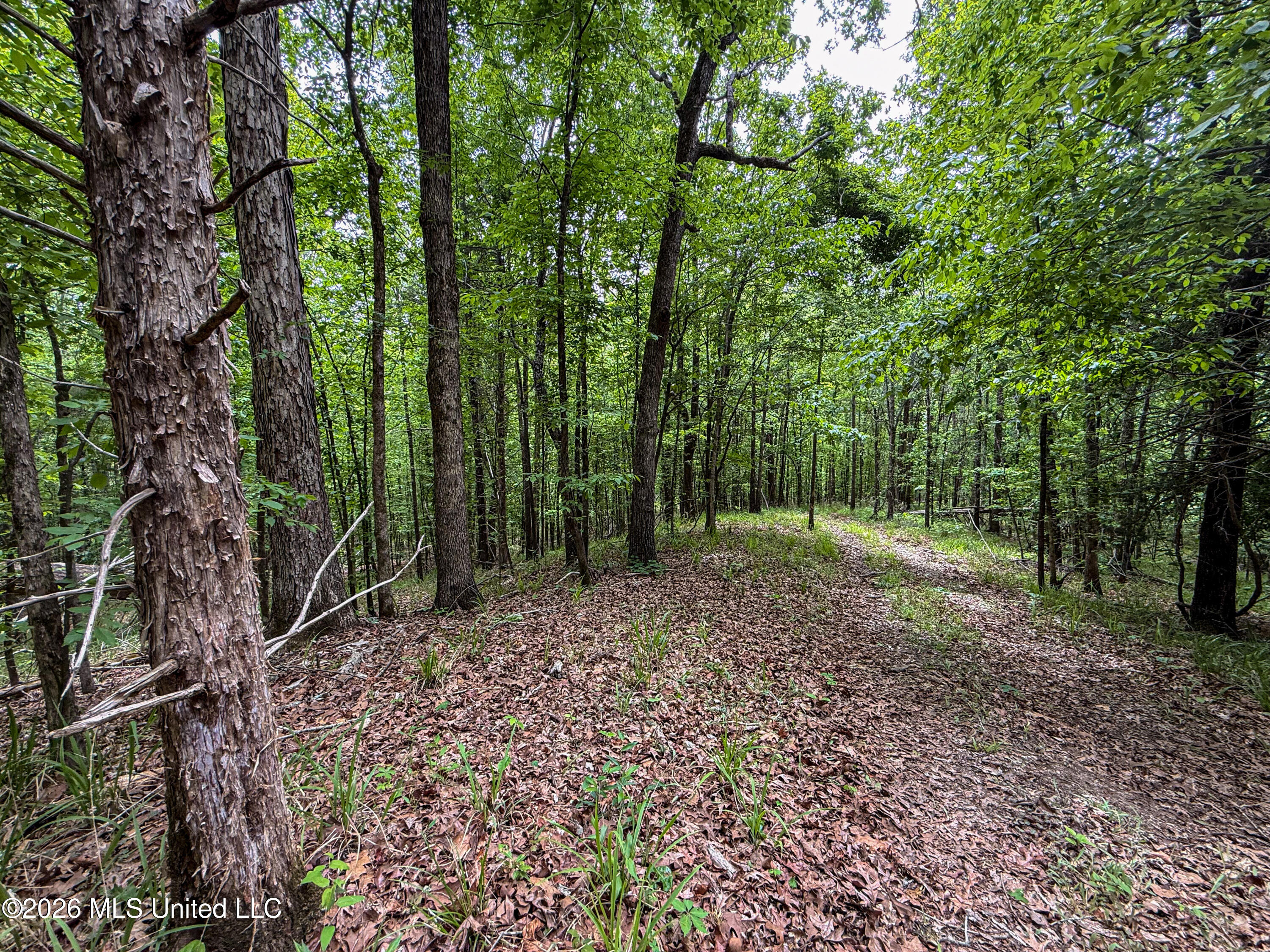 106 Crockrell Road Lexington, MS 39095 - Photo 162 of 185 IMG_0728