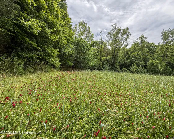 $650,000 | 106 Crockrell Road, Lexington, MS 39095